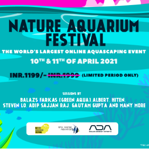 Still Water Aquatics profile image