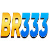 BR333 profile image
