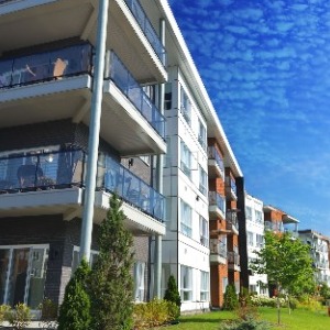 Tata Carnatica profile image