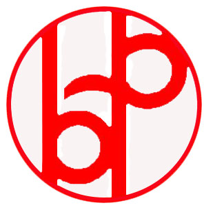 Baringin Asido Aritonang profile image