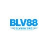 Blv88a org profile image