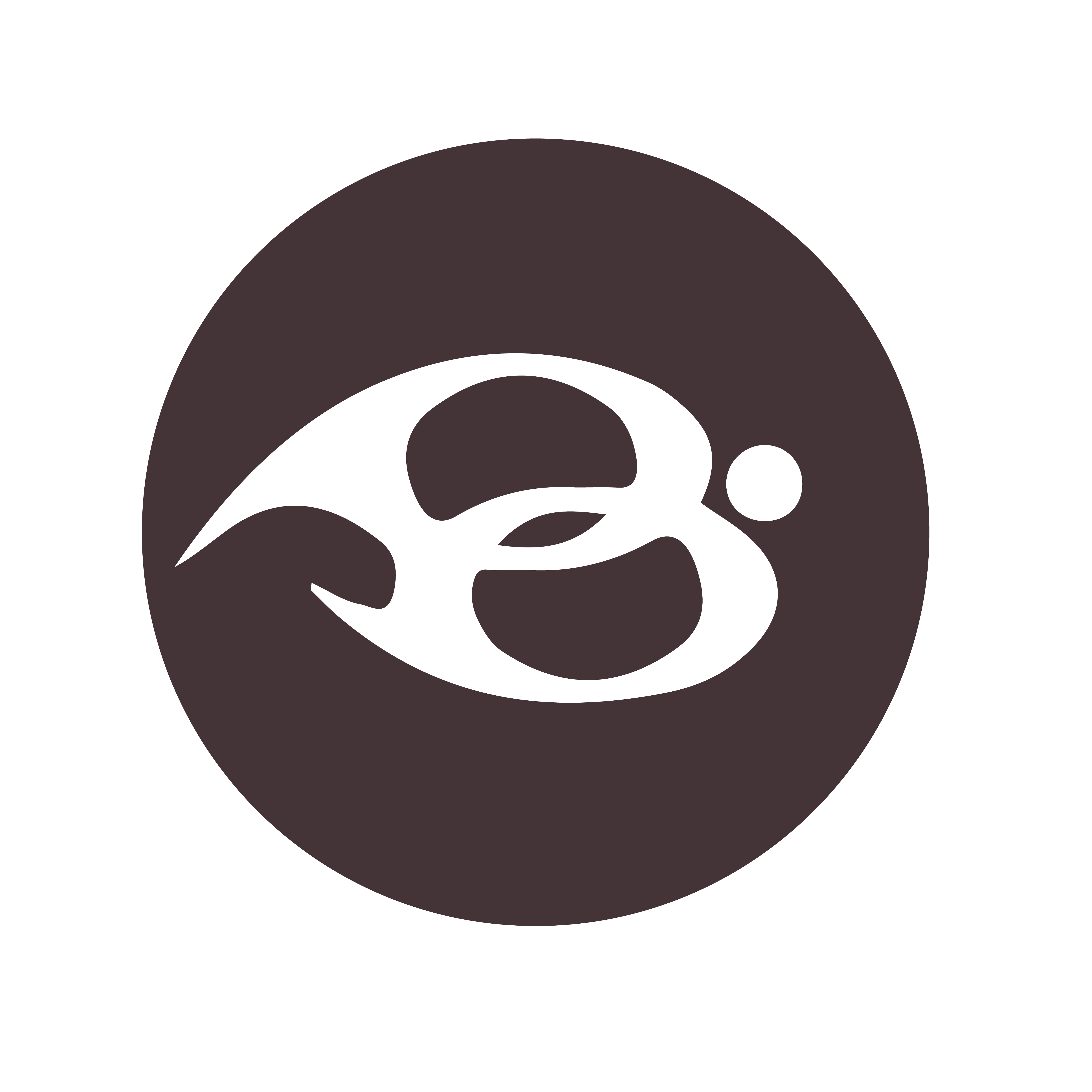 The Bhag profile image