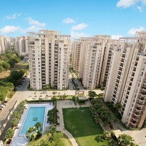 Prestige Evergreen profile image