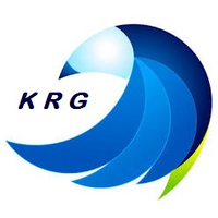 KRG Strategy Consultants Private Limited profile image