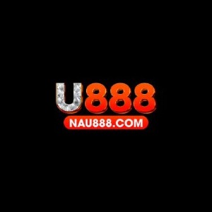 U888 profile image