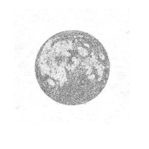 Full Moon Bali profile image