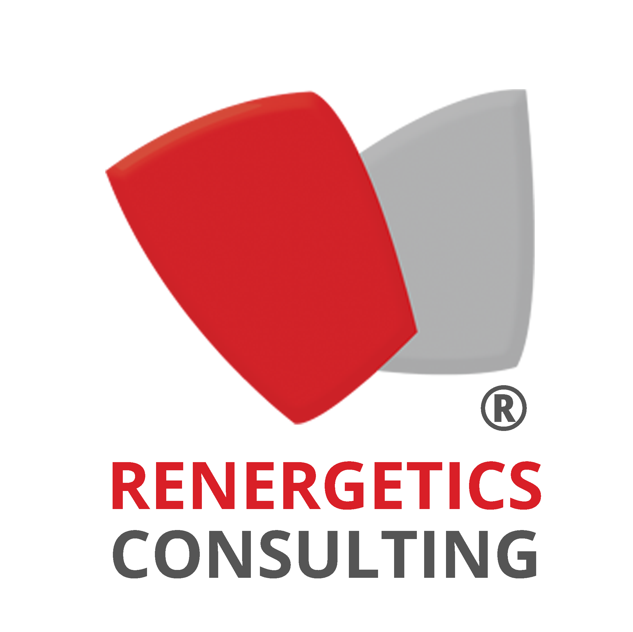 Renergetics Consulting India profile image