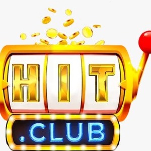 Hit23c net profile image