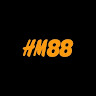 HM88 profile image