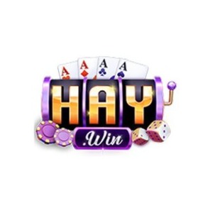 HAYWIN profile image