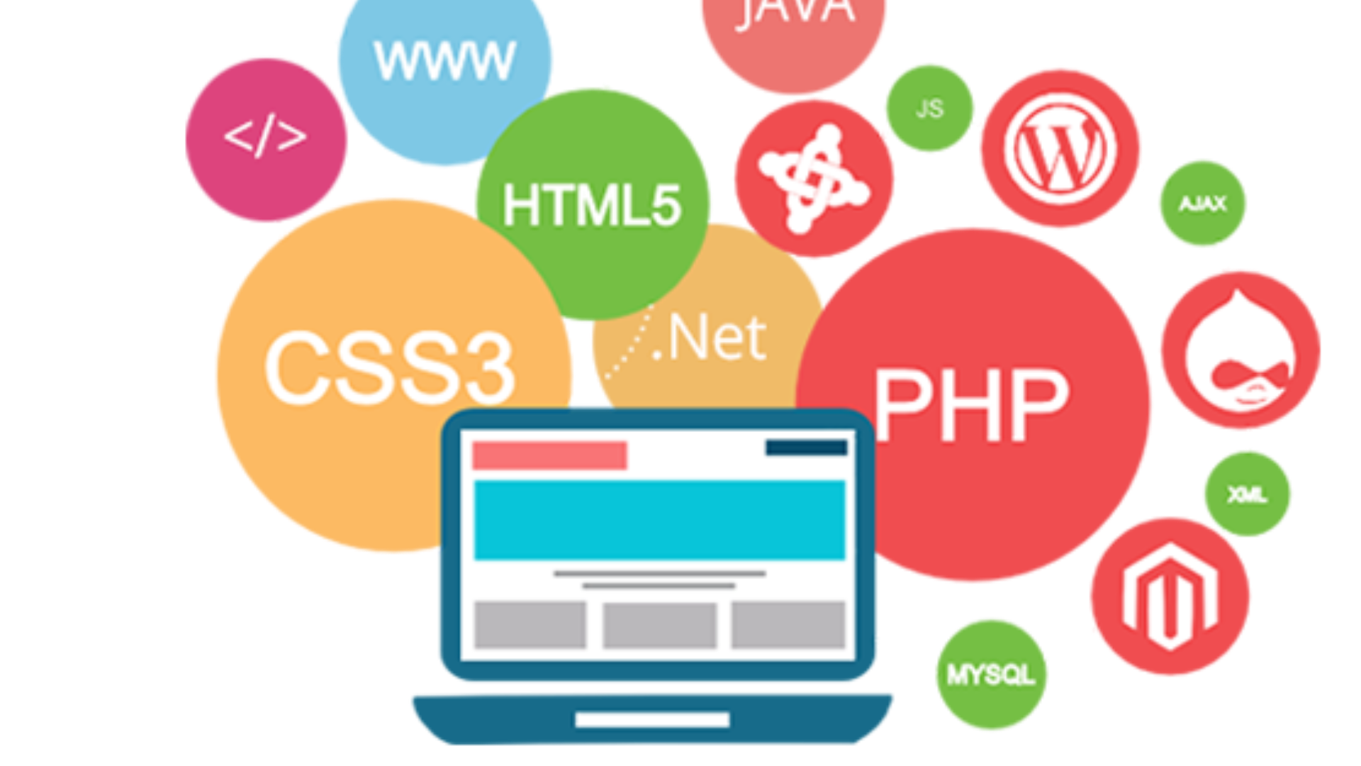 Web i m. Website development. web development. языки веб программирования. web разработка.