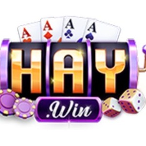 HAYWIN profile image