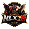 HLX79 profile image