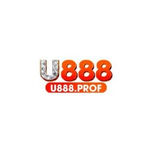 U888 profile image