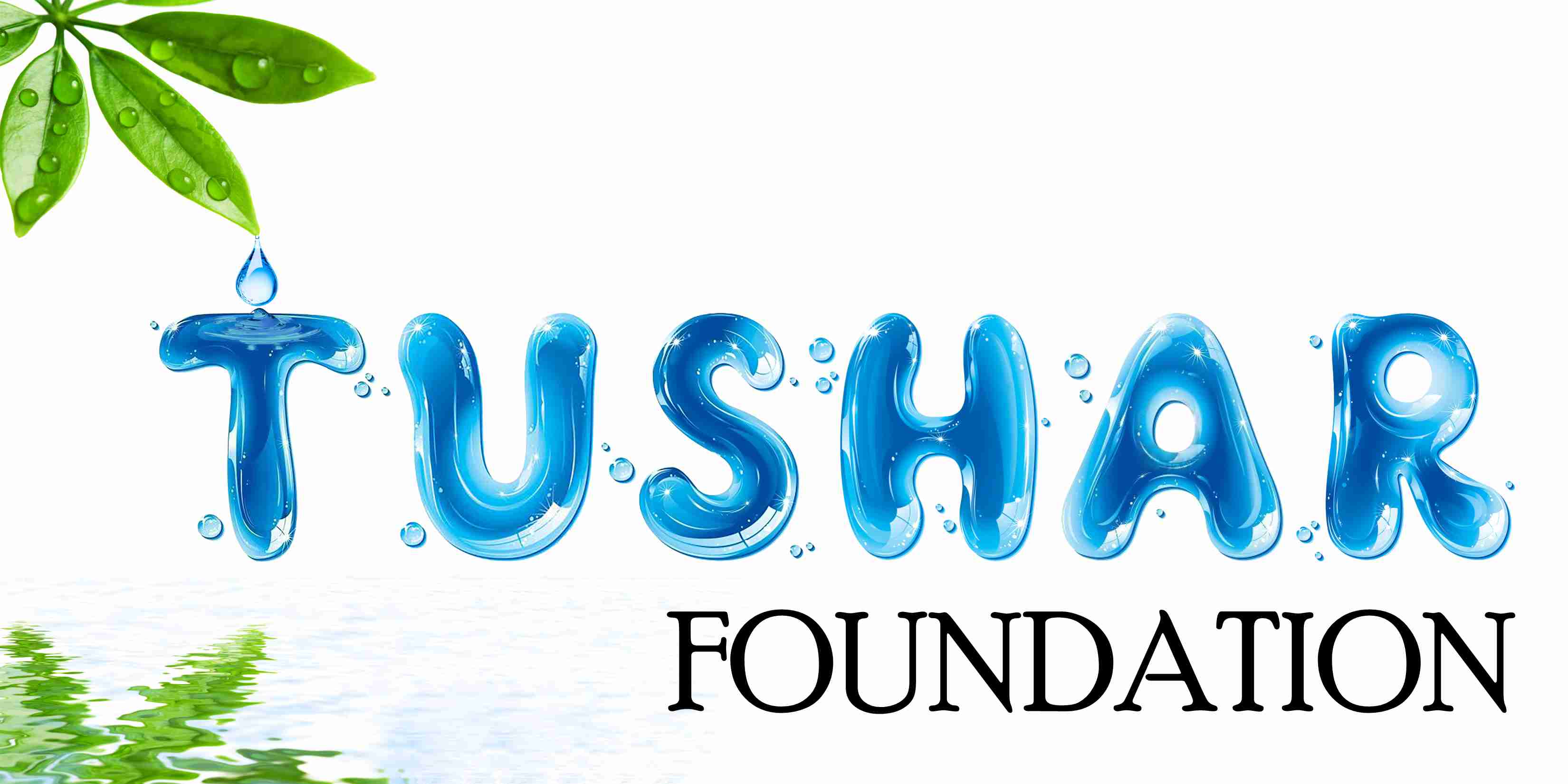 NGO Tushar Foundation profile image