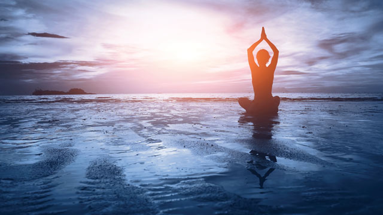 Awakened Wanderers profile image