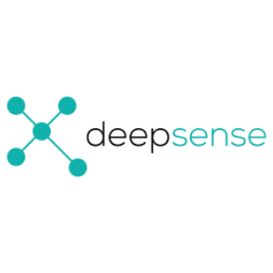Deepsense Digital Solutions profile image