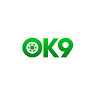 ok9vvipcom profile image