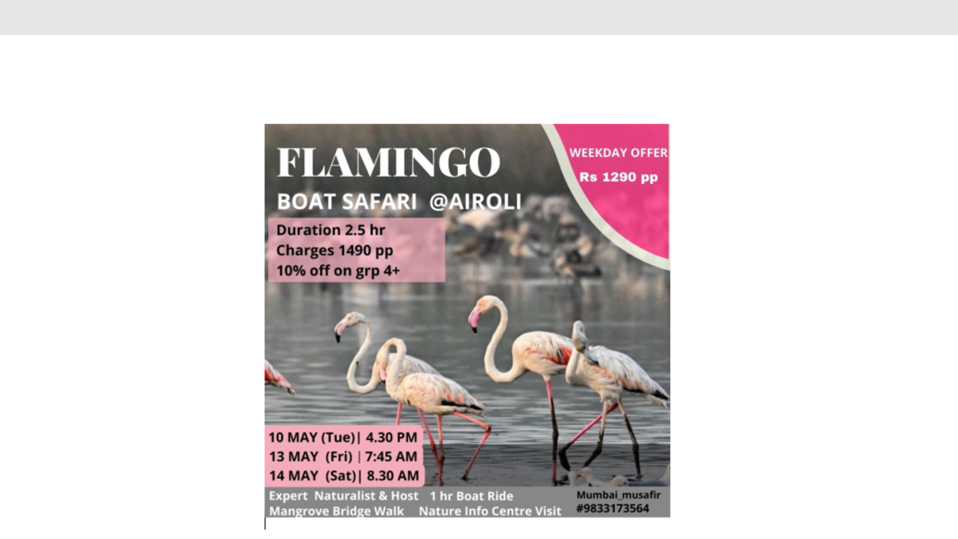 FLAMINGO BOAT RIDE @ AIROLI Tickets by Mumbai Musafir, Friday, May 13