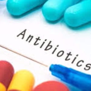 Microbiology Support Group profile image