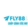 FLY88 profile image