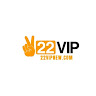 22Vipnew com profile image