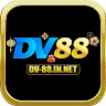 DV88 profile image