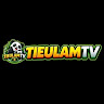 tieulamtvwork profile image