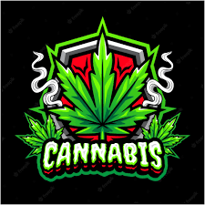 Travis Henne profile image