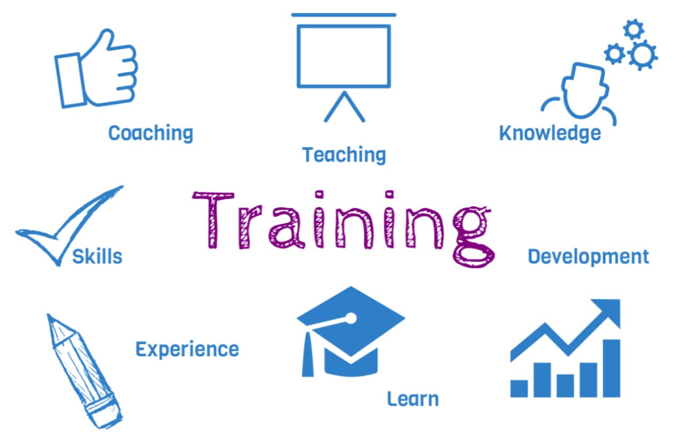 Identifica o Das Necessidades De Treinamento E Desenvolvimento EDUCA