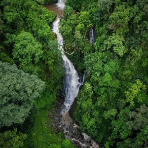 Foxtail Sports Foundation profile image