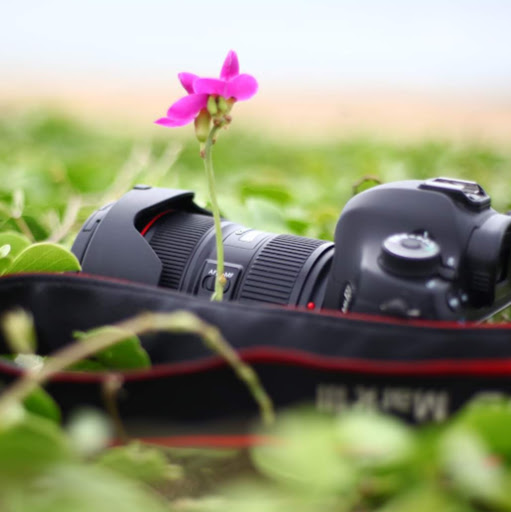 Visualite Photography Academy chennai profile image