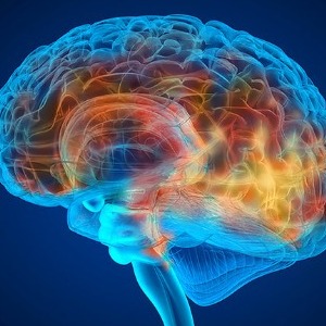 Aaron Wolfi profile image