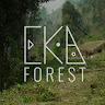 Eka Forest profile image