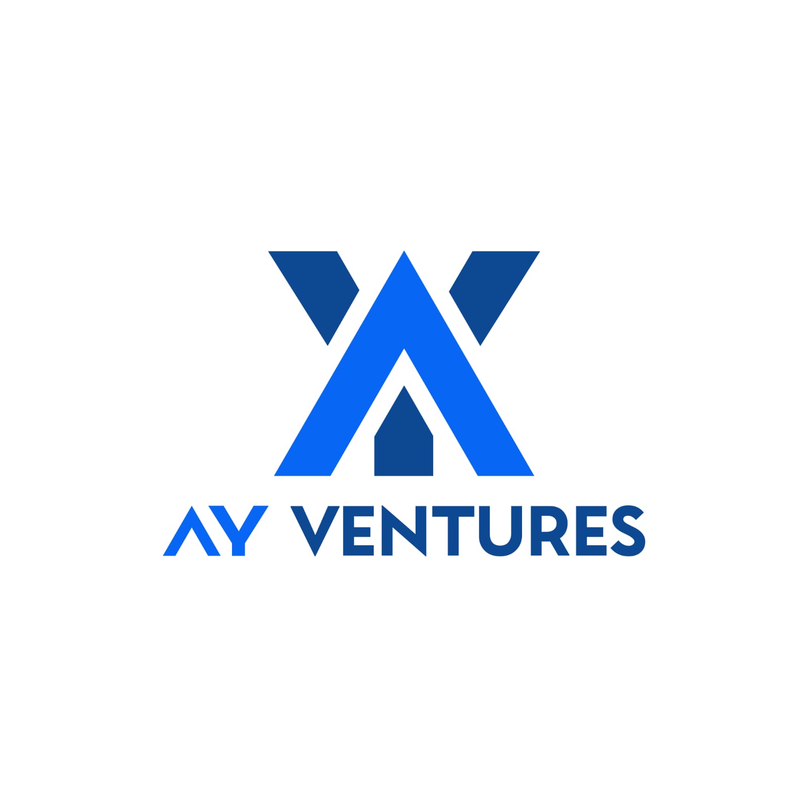 AY Ventures profile image