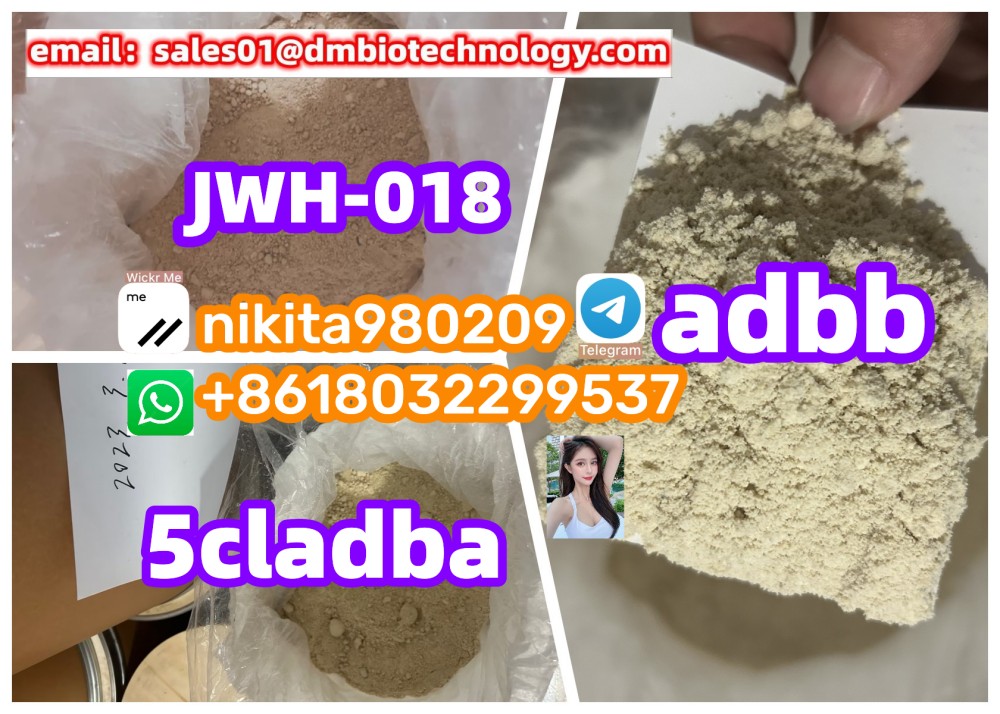 nikita980209 profile image