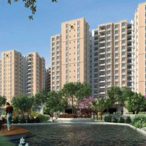 Prestige Palm Court profile image