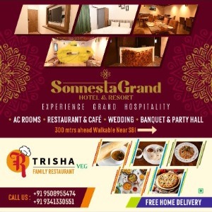 Sonnesta Grand Hotel & Resort profile image