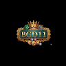 Bgd11 it com profile image