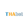 Thabet co in profile image
