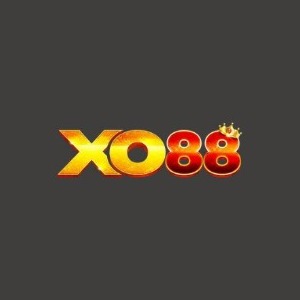 Xo88 build profile image
