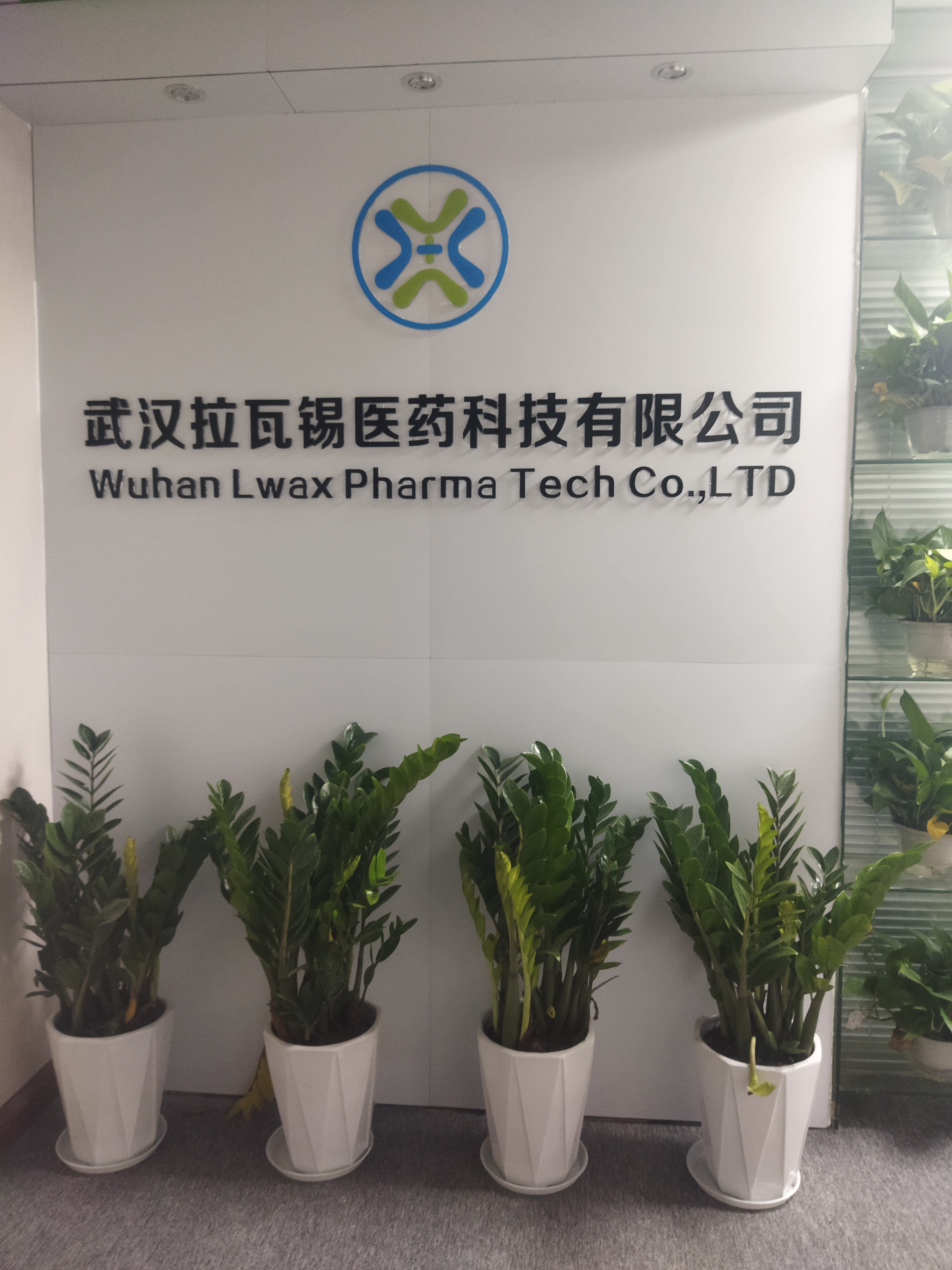 LwaxPhoebe profile image