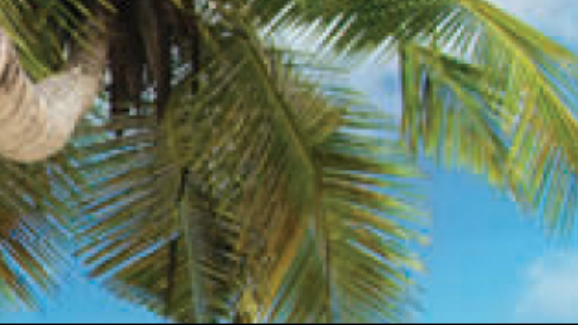 Australia Entertainment Tour Tickets by Rohan Rathi, Tuesday, April 25