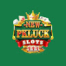 Newpkluck cc profile image
