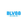 blv88us profile image