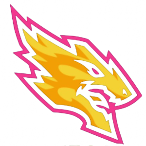 Tenet Games N Combats profile image