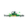 Trangcadobongda co profile image