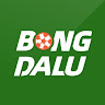 Bongdalu Courses profile image