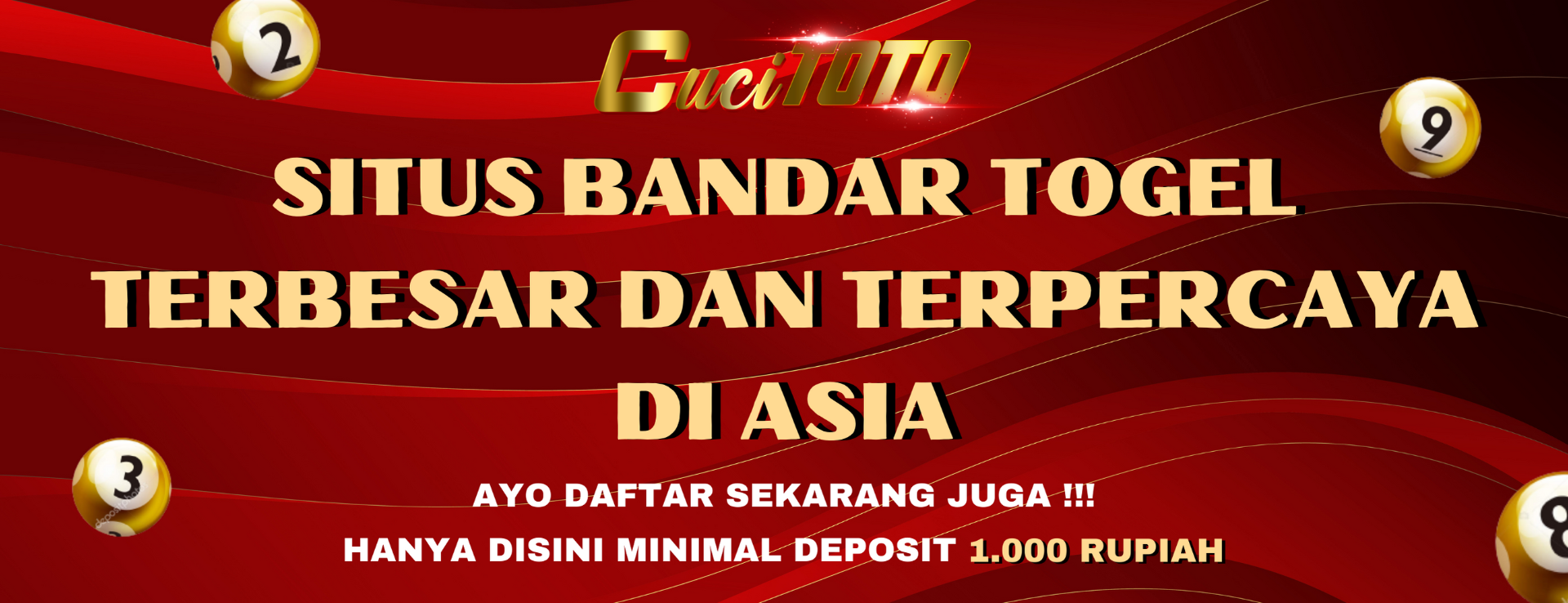 CUCITOTO profile image