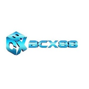 bcx88work profile image